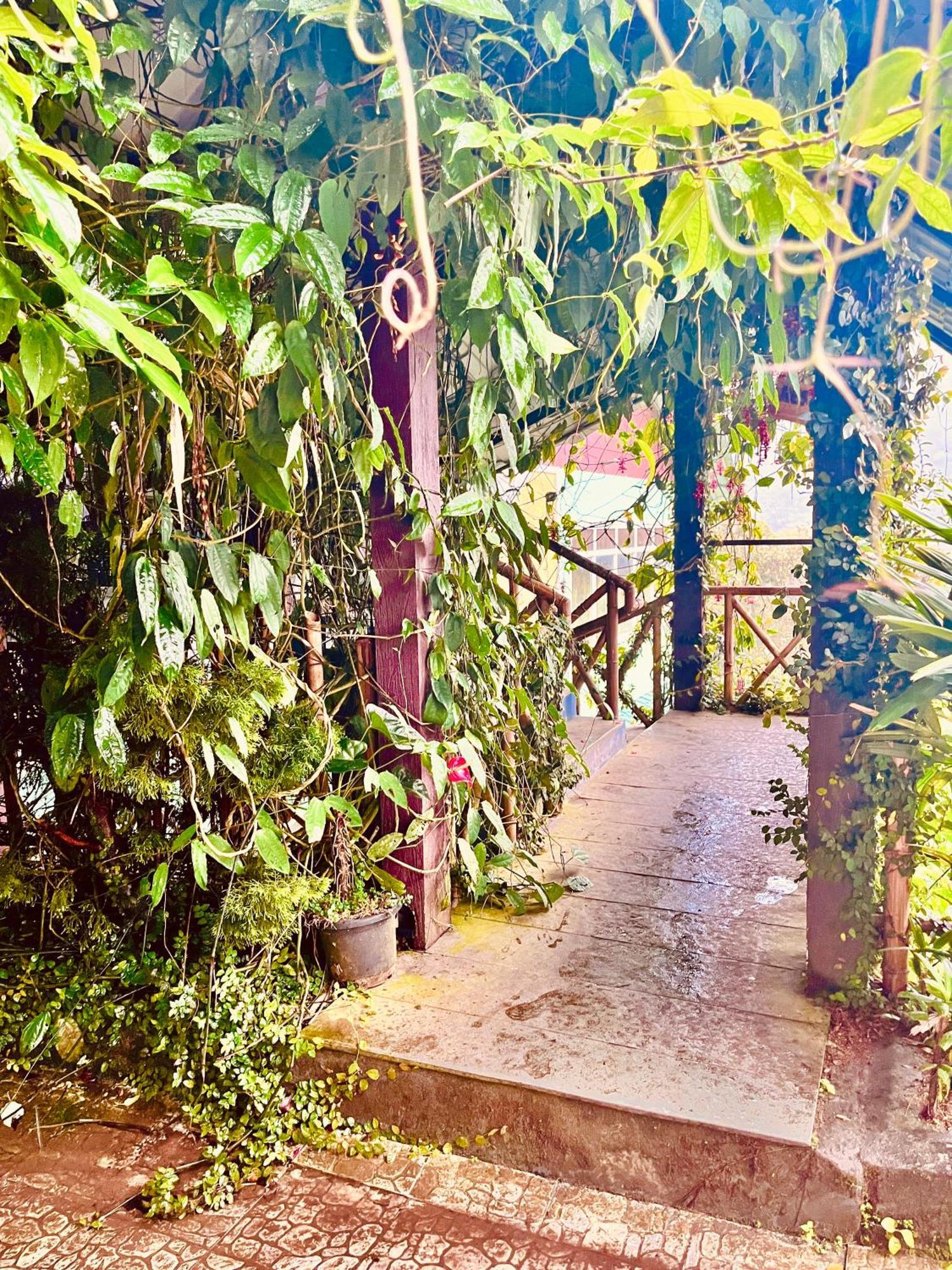 Munnar Tea Estate Cottage And Resort - Away From City Hustle エクステリア 写真